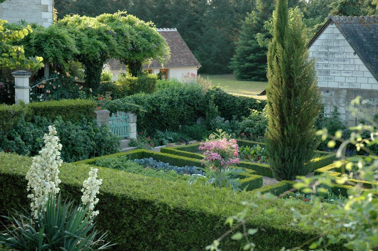 Le Chat Courant Villandry Εξωτερικό φωτογραφία