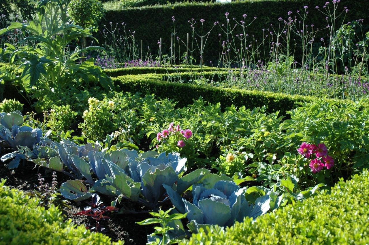 Le Chat Courant Villandry Εξωτερικό φωτογραφία